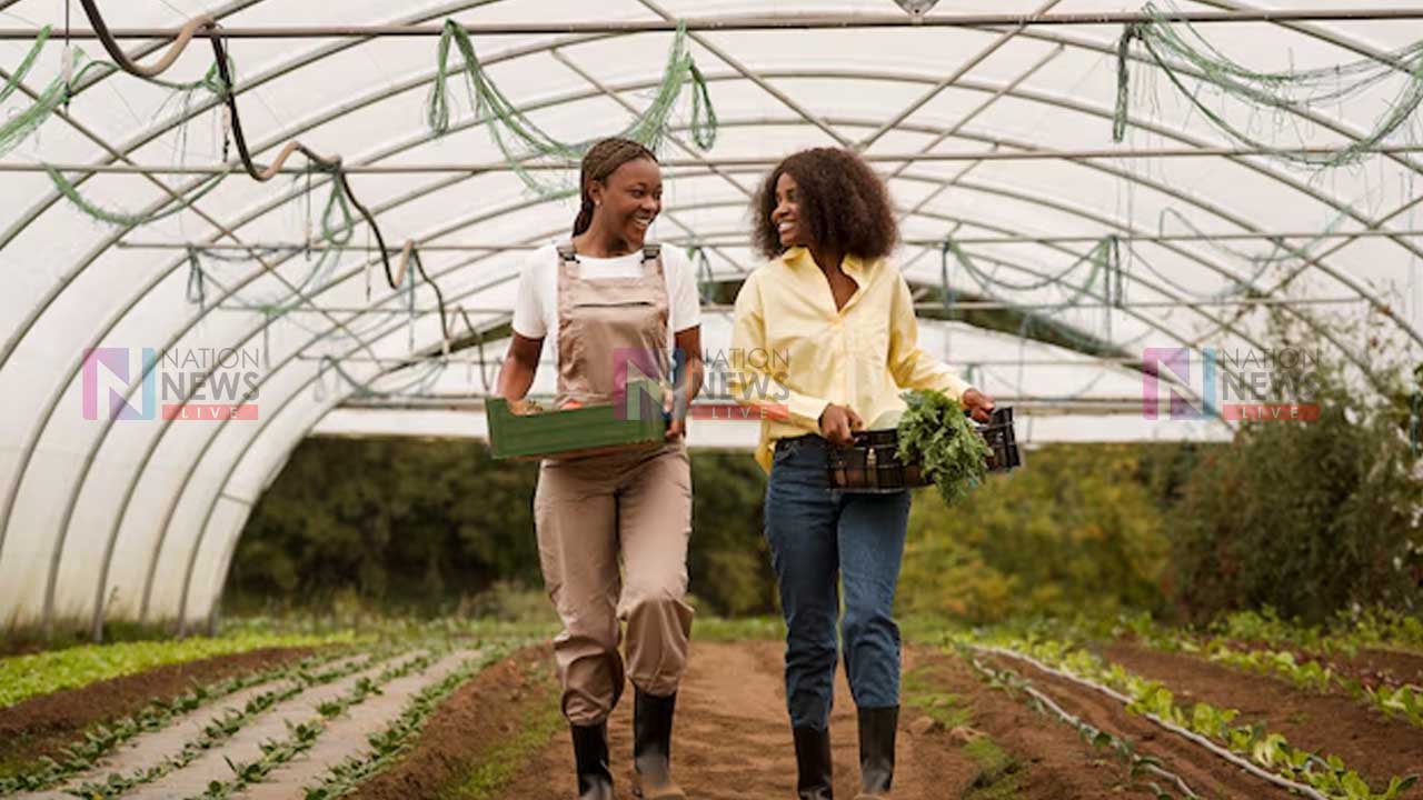 Agro Image