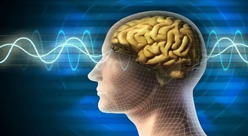image of a news