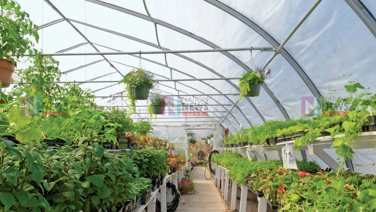 Agro Image