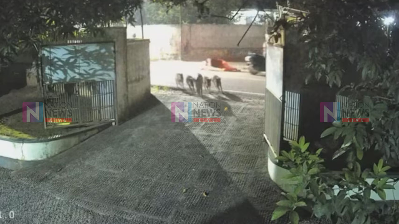 image of a news