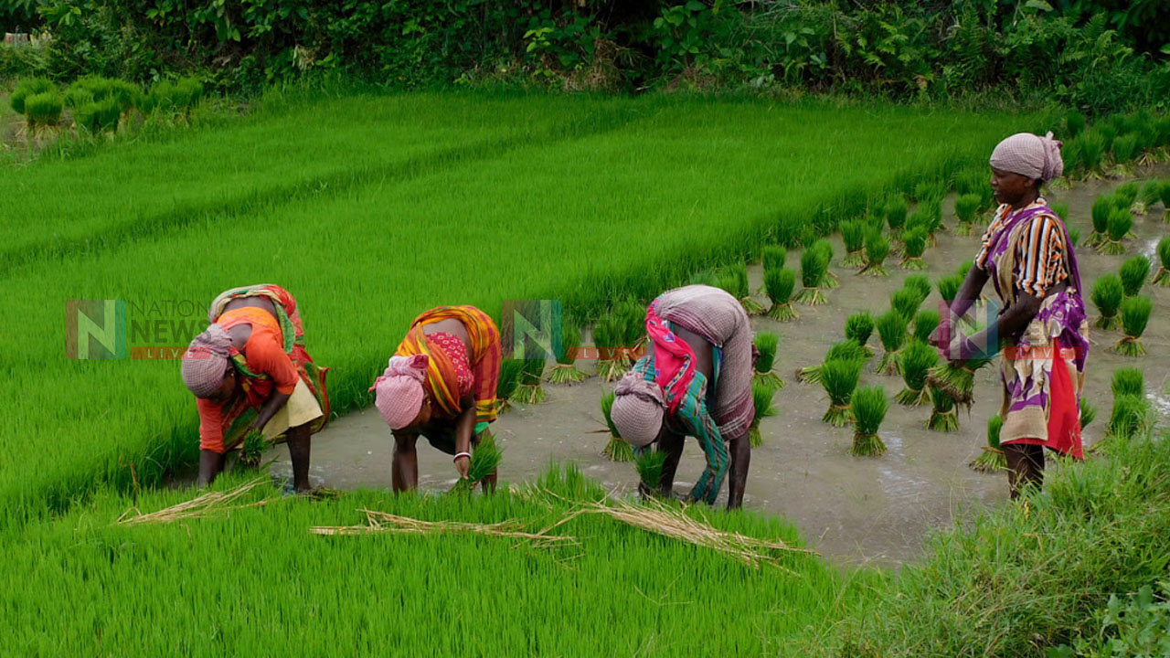 An image related to agriculture