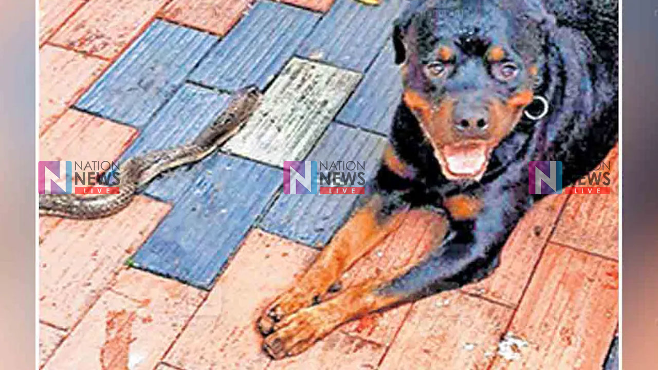 image of a news