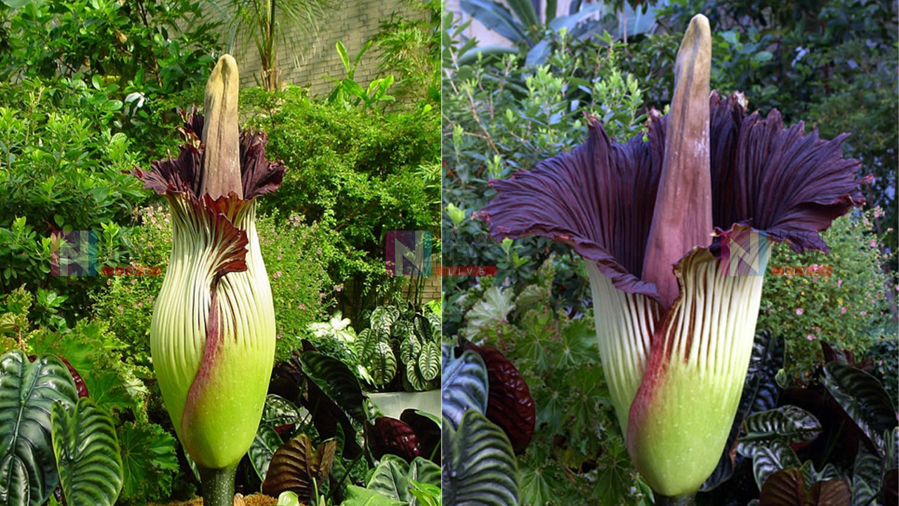An image related to agriculture