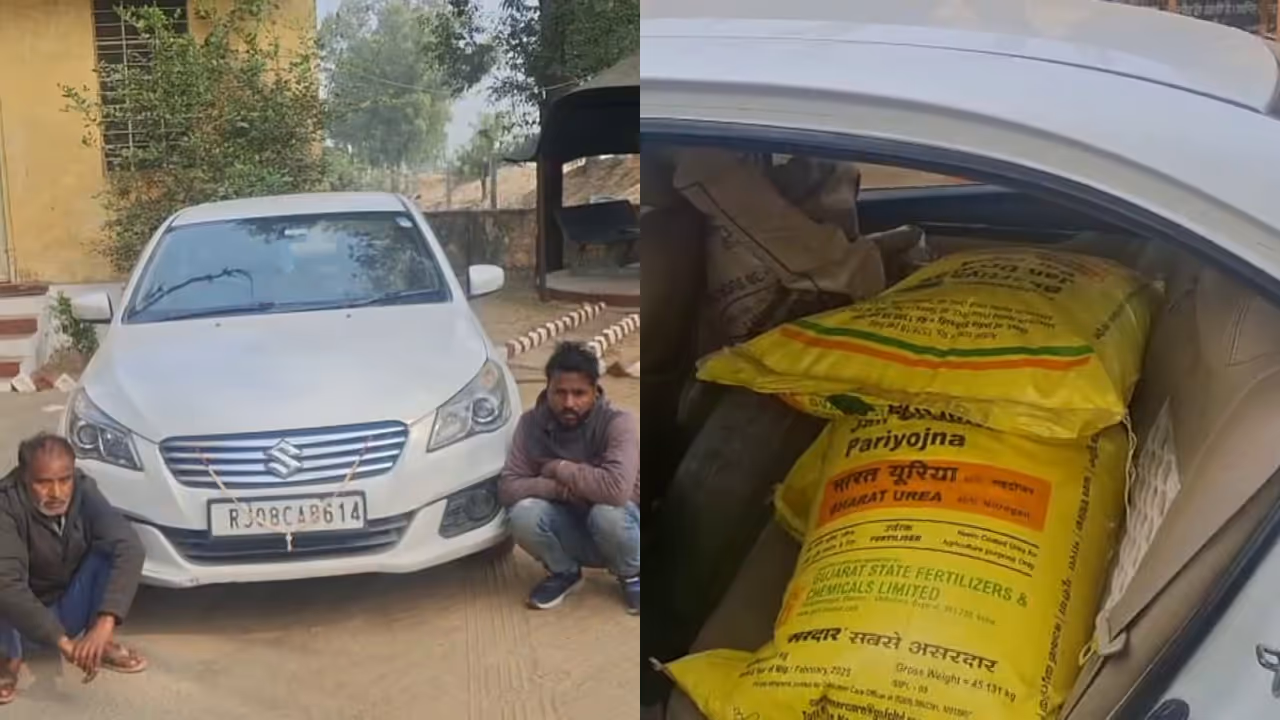 political related image